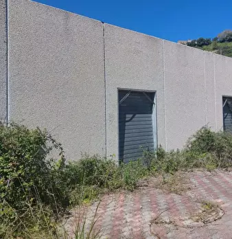 Foto annuncio 5