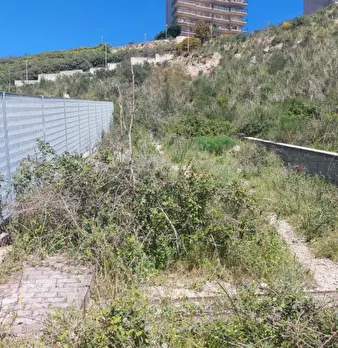 Foto annuncio 6