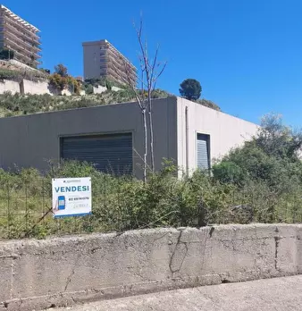 Foto annuncio 10