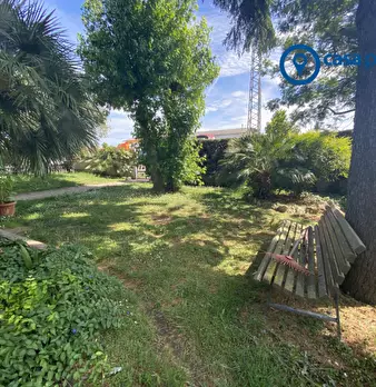 Foto annuncio 43