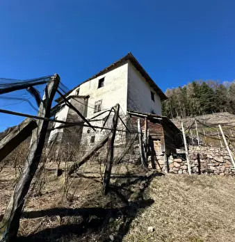 Foto annuncio 2