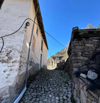 Foto annuncio 4