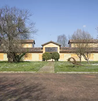 Foto annuncio 43