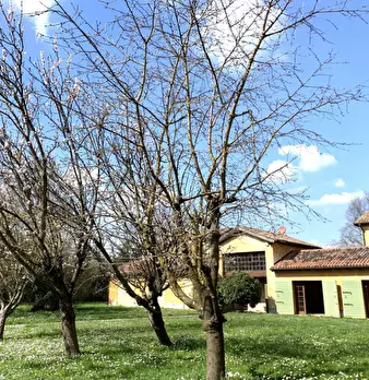Foto annuncio 57
