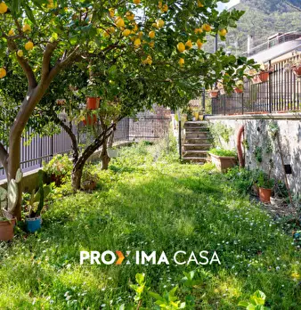 Foto annuncio 44