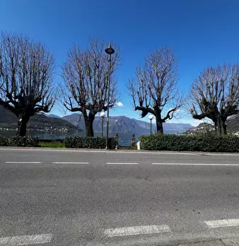 Foto annuncio 21