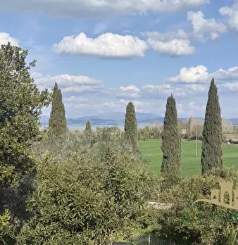 Foto annuncio 6