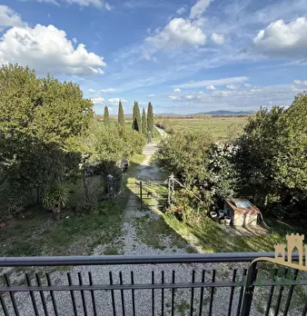 Foto annuncio 18