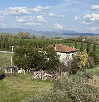Foto annuncio 24