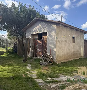 Foto annuncio 36