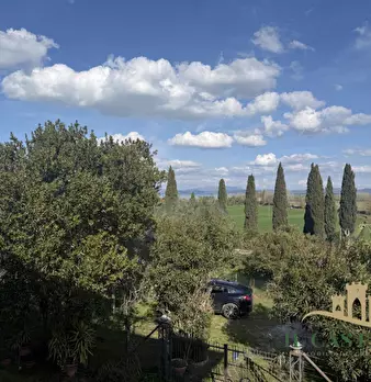 Foto annuncio 37