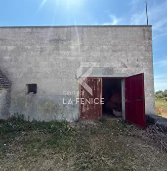 Foto annuncio 11