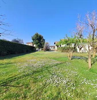 Foto annuncio 8