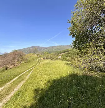 Foto annuncio 24