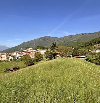 Foto annuncio 25