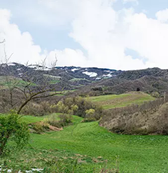 Foto annuncio 4
