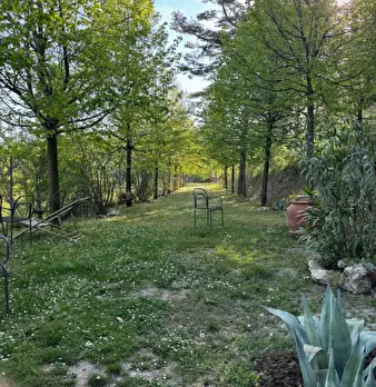 Foto annuncio 50