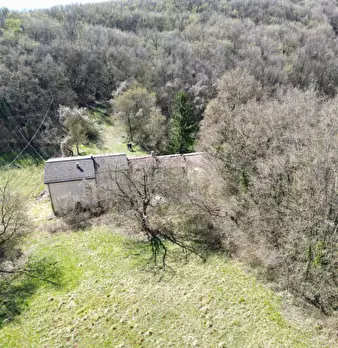 Foto annuncio 9