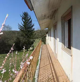 Foto annuncio 28