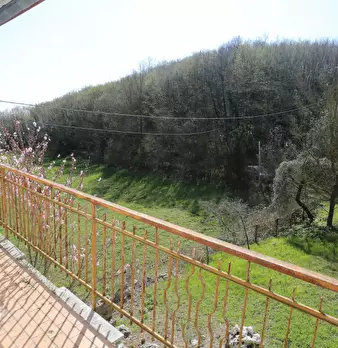 Foto annuncio 29