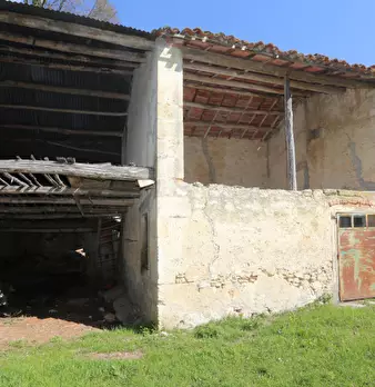 Foto annuncio 31