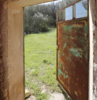 Foto annuncio 32