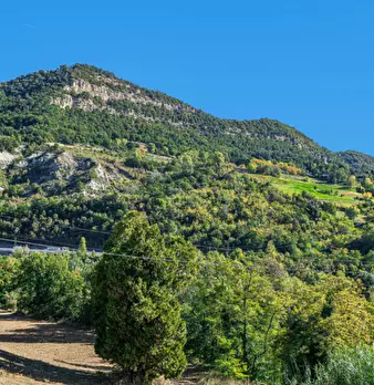 Foto annuncio 60