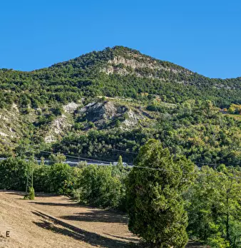 Foto annuncio 61