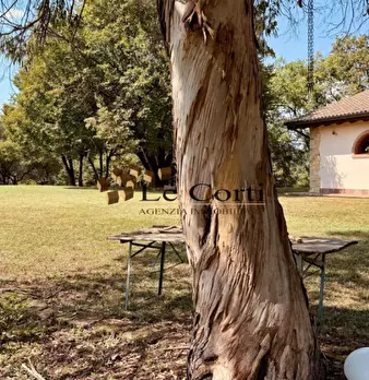 Foto annuncio 31