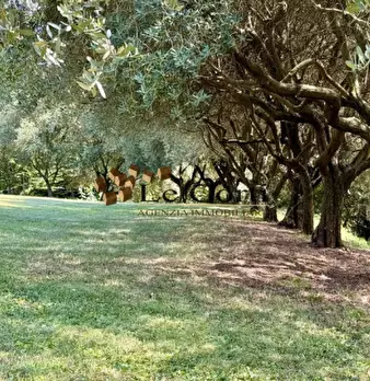 Foto annuncio 34