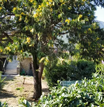 Foto annuncio 5