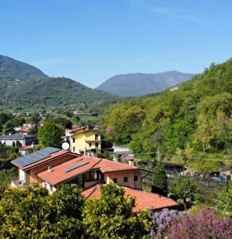 Foto annuncio 8