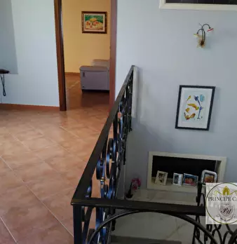 Foto annuncio 30