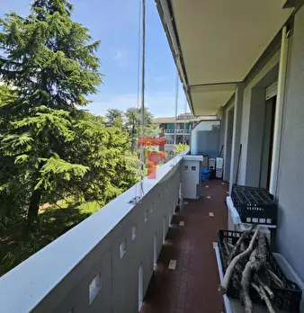 Foto annuncio 6