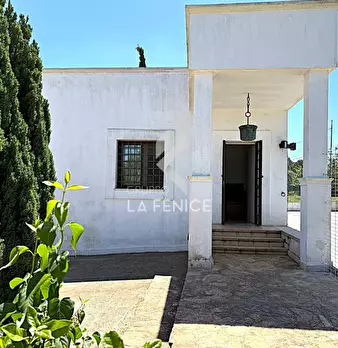 Foto annuncio 17