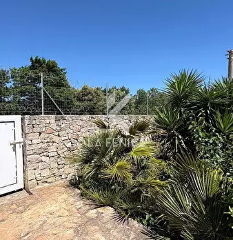 Foto annuncio 19