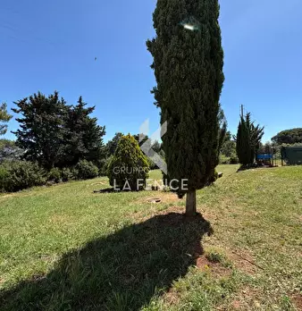 Foto annuncio 29