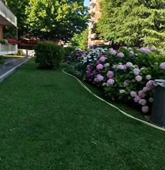 Foto annuncio 3