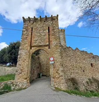 Foto annuncio 28