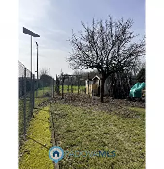 Foto annuncio 18