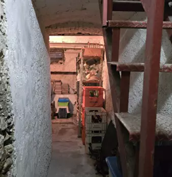 Foto annuncio 23