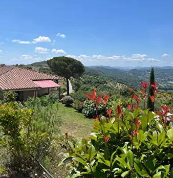 Foto annuncio 2