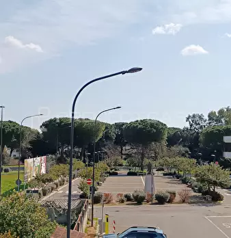 Foto annuncio 5