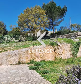 Foto annuncio 7