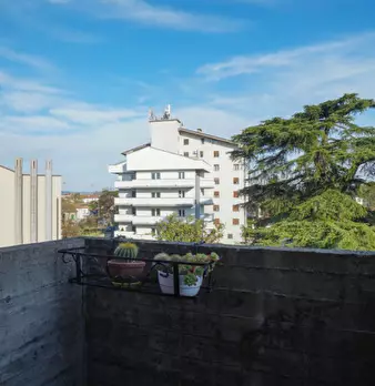 Foto annuncio 9