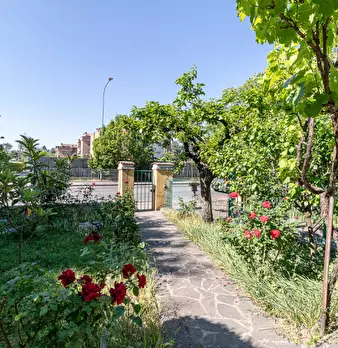 Foto annuncio 28