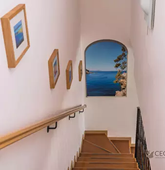 Foto annuncio 12