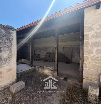 Foto annuncio 21