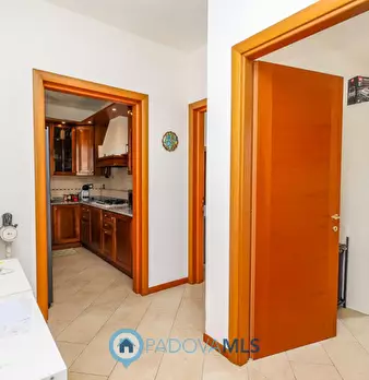Foto annuncio 31