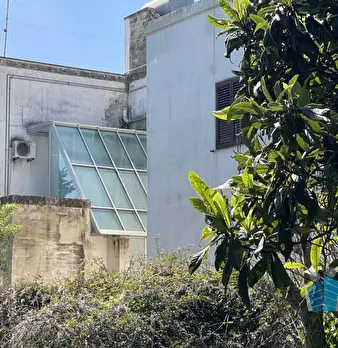Foto annuncio 7